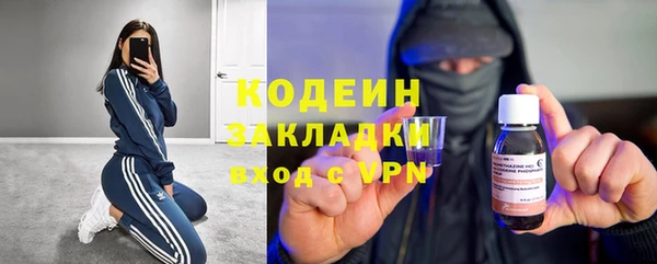 мдпв Богородицк