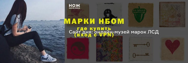 мдпв Богородицк