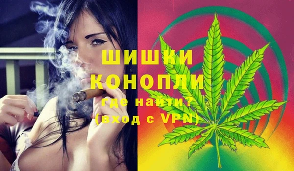 мдпв Богородицк