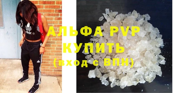ешки Богданович