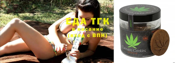 мдпв Богородицк